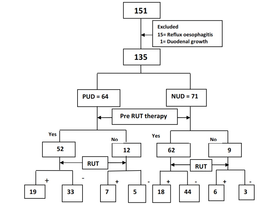 An Audit of Endoscopic RUT and Treatment for Helicobacter pylori in